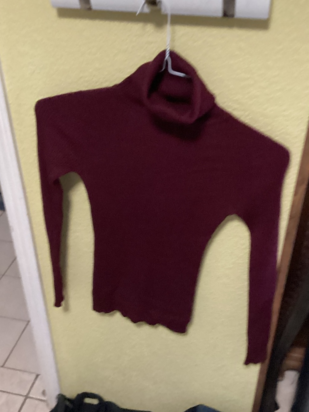 Ambiance Wine Ribbed Turtleneck Sweater